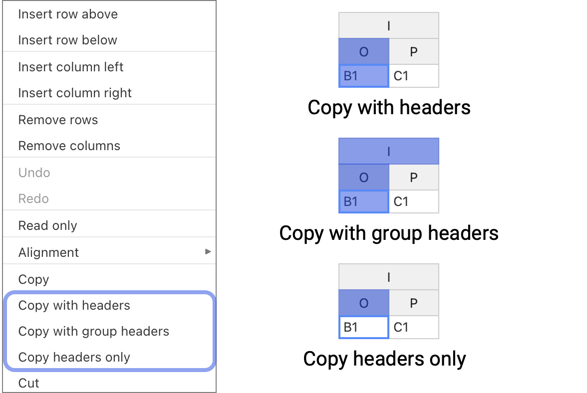 Image showing a new Handsontable data grid feature - copy cells with headers